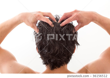 Hair Care 36156512