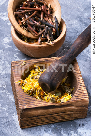 set of dried medicinal plants set of dried medicinal plants 36156544