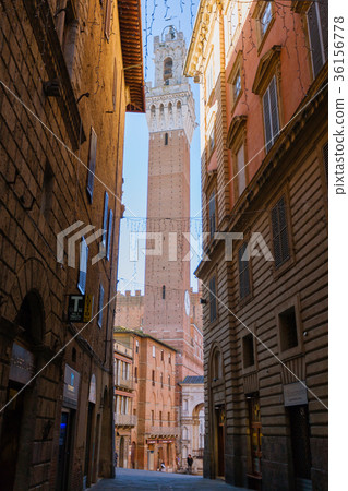 Siena day view, Tuscany, Italy Siena day view, Tuscany, Italy 36156778