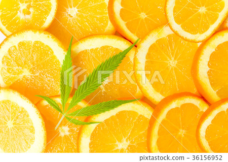 Orange fruit slices and marijuana leaf Orange fruit slices and marijuana leaf 36156952