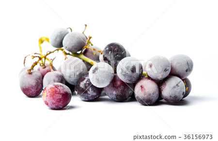 Frozen grapes cluster on white background Frozen grapes cluster on white background 36156973