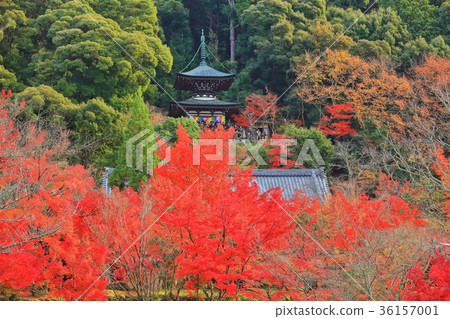 Eikan-do的秋葉 Eikan-do的秋葉 36157001