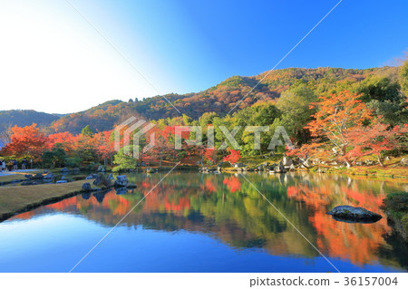Tenryu-ji Temple（Saogen池塘花園） 36157004