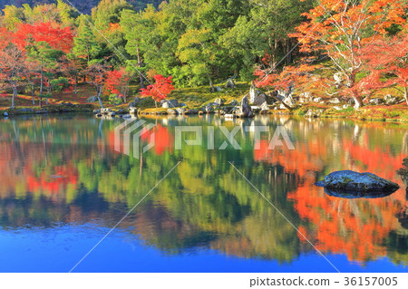 Tenryu-ji Temple（Saogen池塘花園） 36157005