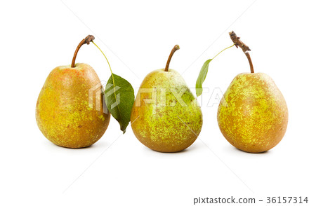 Three ripe pears 36157314