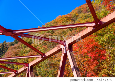 在長野群馬邊界,Ekosawa橋樑附近的秋葉 在長野群馬邊界,Ekosawa橋樑附近的秋葉 36157380