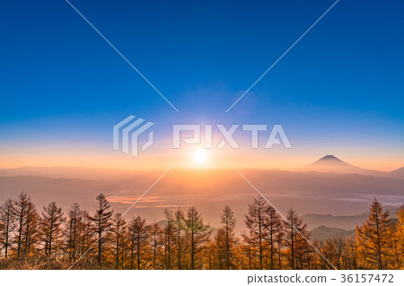 <山梨縣>富士山和甲府盆地的黎明 36157472