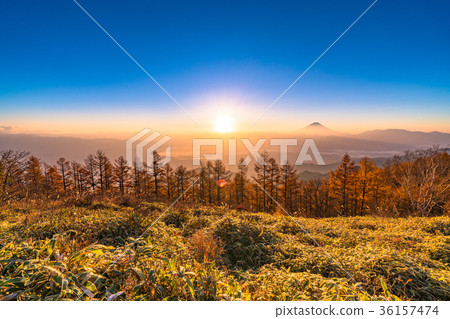 <山梨縣>富士山和甲府盆地的黎明 <山梨縣>富士山和甲府盆地的黎明 36157474