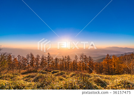<山梨縣>富士山和甲府盆地的黎明 36157475