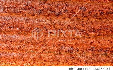 Background of urban rust texture. Background of urban rust texture. 36158231