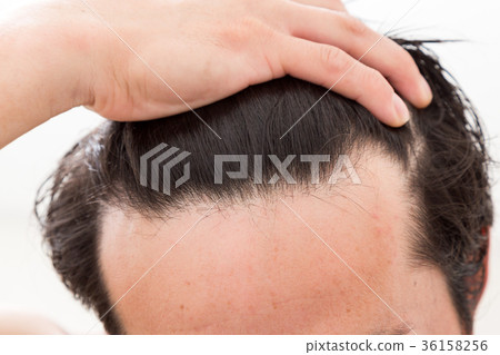Hair Care Hair Care 36158256