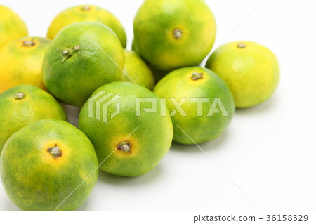Mandarin orange Mandarin orange 36158329