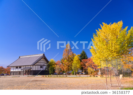 秋季的Tatsuoka Goryokaku廚房(長野縣) 秋季的Tatsuoka Goryokaku廚房(長野縣) 36158377