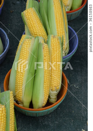 corn 36158983