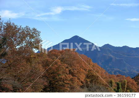 Chichibu冥想公園秋葉 36159177