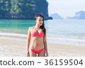 Attractive Young Caucasian Woman In Swimsuit On 36159504