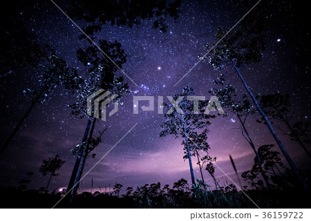 Night landscape with colorful Milky Way Night landscape with colorful Milky Way 36159722