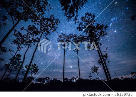 Night landscape with colorful Milky Way 36159723