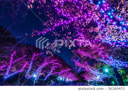 TOKYO Suzuri Festival 2017 TOKYO Suzuri Festival 2017 36160451