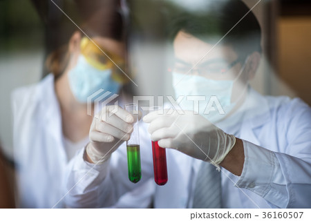 scientist working at the laboratory scientist working at the laboratory 36160507