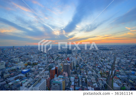 Setagaya evening view 36161114