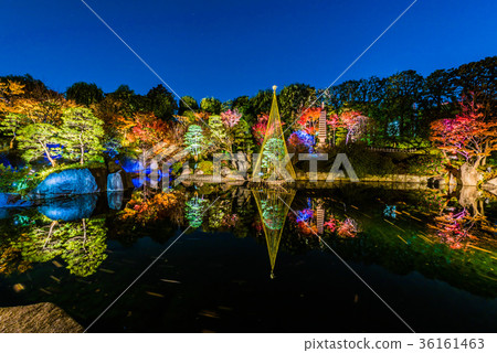 Mejiro Garden點亮 36161463