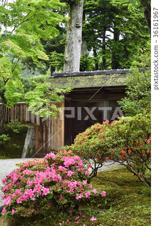 修學院故宮皇宮 修學院故宮皇宮 36161967