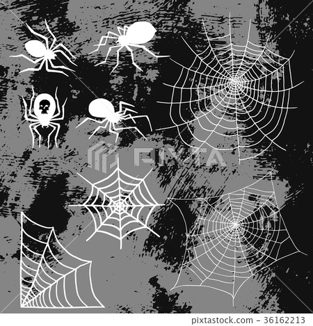 Spiders and spider web silhouette spooky nature 36162213
