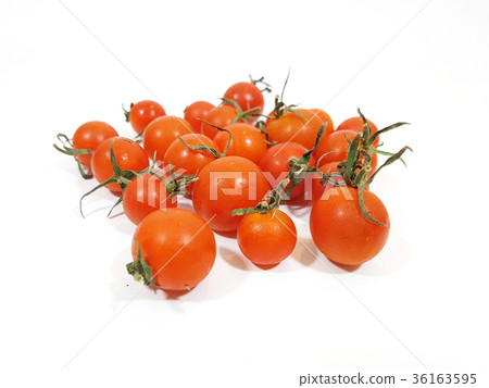 Fresh tomatoes Fresh tomatoes 36163595