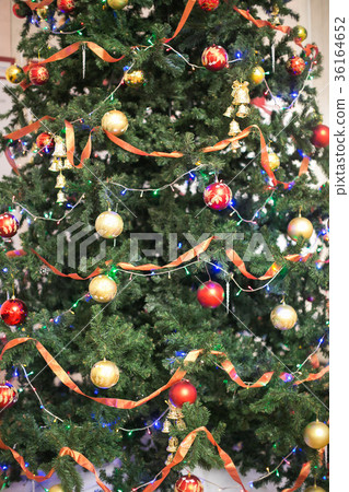 holidays, nature, celebrating concept. spruce 36164652