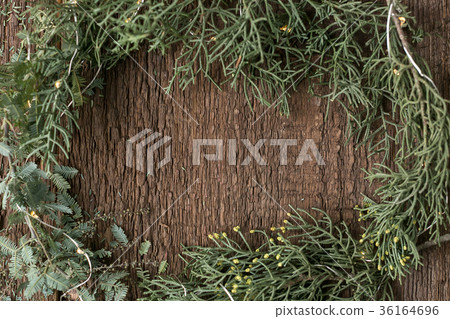 planting, nature, growing concept. there is free 36164696