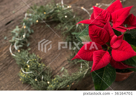 decoration, planting, flower design concept. on 36164701