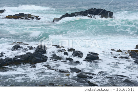 金玫瑰的波浪 36165515