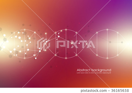 DNA spiral system, vector illustration 36165638
