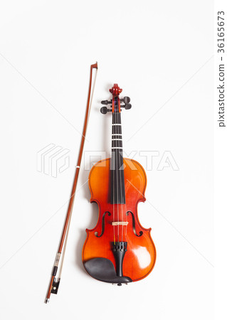Violin in a white background Violin in a white background 36165673