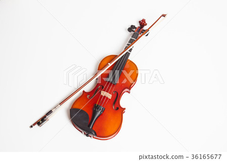 Violin in a white background Violin in a white background 36165677