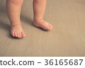 Baby's first steps 36165687
