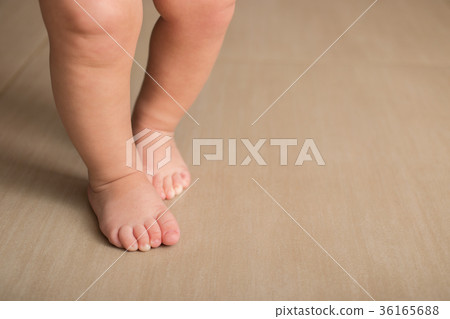 Baby's first steps 36165688
