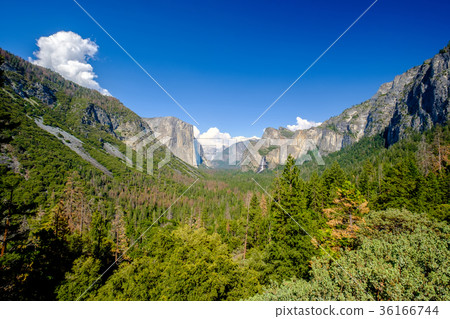 Yosemite National Park Valley summer landscape Yosemite National Park Valley summer landscape 36166744
