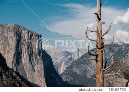 Yosemite National Park Valley summer landscape Yosemite National Park Valley summer landscape 36166763