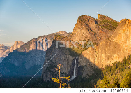 Yosemite National Park Valley summer landscape 36166764