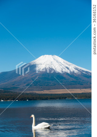 Mount Fuji Upside-down Fuji Blue Sky Swan Lake Yamanaka 36168152