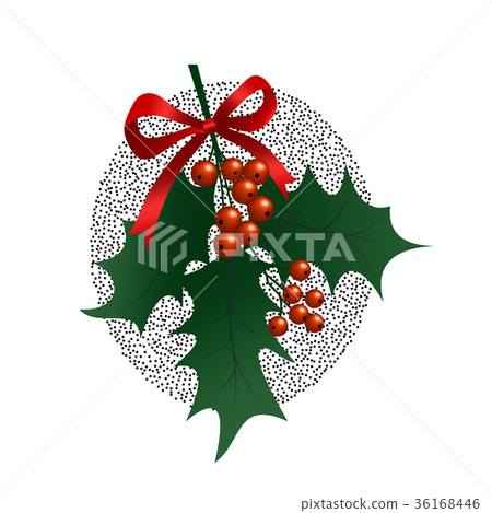 Holly branch on white background. Christmas 36168446