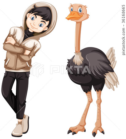 Teenage boy and wild ostrich Teenage boy and wild ostrich 36168665