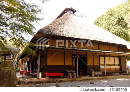 Sweet sake tea shop Sweet sake tea shop 36169706