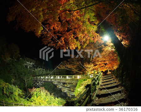 猿橋 猿橋 36170316