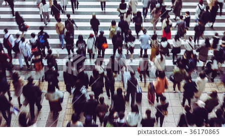 People crossing a pedestrian crossing 36170865