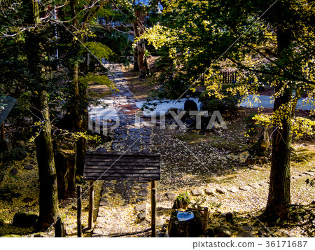 Autumn leaves of Izu Shuzenji Okunoin 36171687