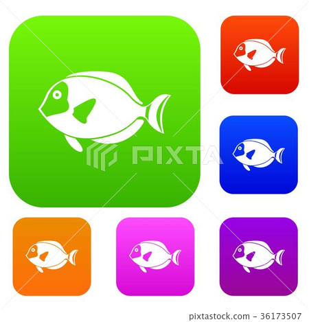 Surgeon fish set collection Surgeon fish set collection 36173507