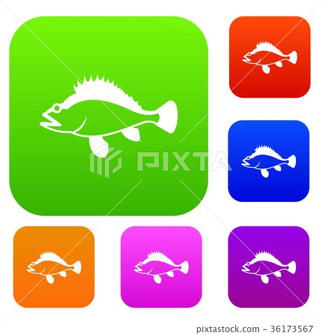 Rose fish, Sebastes norvegicus set collection 36173567